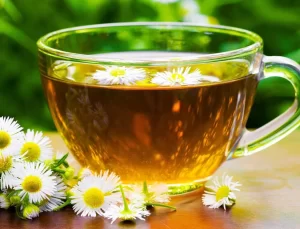 İran’daki son araştırma papatya çayının yeni özelliğini ortaya çıkardı