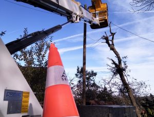 Şiddetli Lodos ve Fırtınaya Karşı SEDAŞ’tan 7/24 Kesintisiz Enerji Çalışması