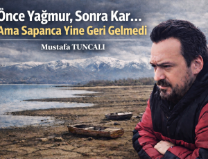 Yağmur da Yağdı, Kar da… Ama Sapanca Yine Geri Gelmedi
