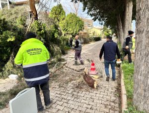 Serdivan Belediyesi Kuvvetli Rüzgâra Karşı Teyakkuzda