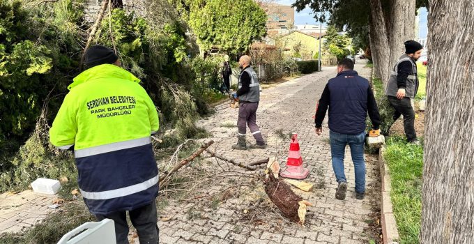 Serdivan Belediyesi Kuvvetli Rüzgâra Karşı Teyakkuzda