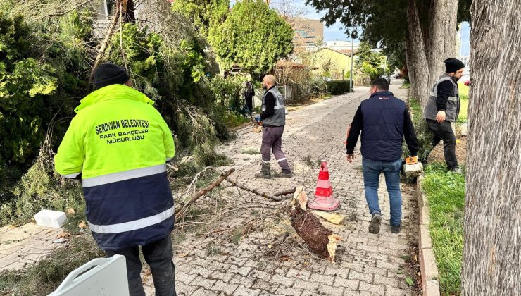 Serdivan Belediyesi Kuvvetli Rüzgâra Karşı Teyakkuzda
