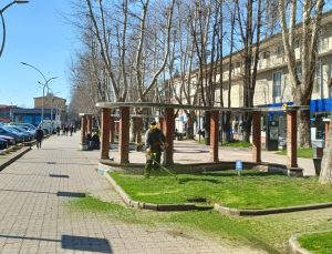 Hendek’te Yeşil Alanlar İçin Temizlik ve Ağaçlandırma Çalışması