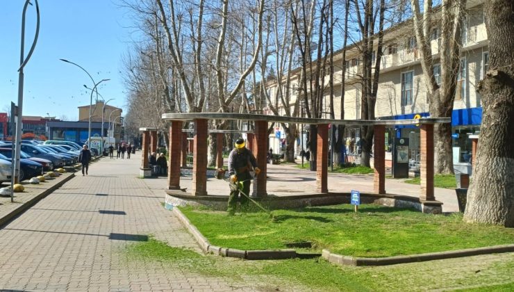 Hendek’te Yeşil Alanlar İçin Temizlik ve Ağaçlandırma Çalışması